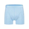 Pockies Boksarice svetlo modra/bela