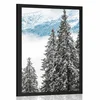 Plakat zasneženi borovi gozdovi - 20x30 no frame