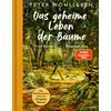 Das geheime Leben der Bäume