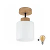BRILAGI - LED plafonski luster RETRO GLASS 1xE27/60W/230V prečnik 10 cm hrast/bela