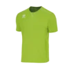 ERREA Muška majica kratkih rukava Everton, Zelena