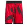 ADIDAS PERFORMANCE Športne hlače Crazy Lite rdeča/črna/off-bela
