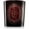 Diptyque Baies, Figuier, Roses dišeča sveča 1500 g