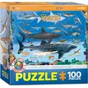 EuroGraphics Morski psi Puzzle 100 kosov