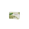 FRUCTUS Rtanjski čaj 20g, 20x1g