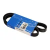 Jermen micro 6pk0976 skf