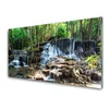 tulup.si Slika na steklu Forest slap narava 100x50 cm 2 obešalnika