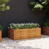 Povišena vrtna gredica 100x50x36 cm Corten čelik