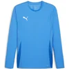 Dres z dolgimi rokavi Puma teamGOAL Jersey LS M
