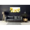 tulup.si Slika na steklu Tulipani flowers rays 100x50 cm 4 obešalnika