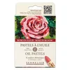 Eli Oljni pasteli Rose In Bloom, 6 barv