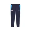PUMA PSV Eindhoven Training Pants Men, Men, Navy/Ocean Dive, XS