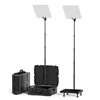 Desview TP300