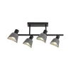 Rabalux Plafonska stop lampa Farelia, 4xE14, D57cm, Siva