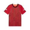 PUMA individualFINAL Football Jersey Men, Sport, Glowing Red/Mint Jelly/Black, XL