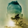 Duquette Johnston - Rabbit Runs A Destiny (Limited Edition) (Clear Coloured) (LP)