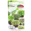shumee Semena špinačnih mikrozelenja 5g - Toseed Sprouts