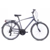 Capriolo Roadster Tour Man 28