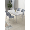 Hanah Home Set Trpezarijski sto i 4 stolice Nil, Sivo-beli