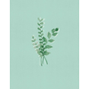 NIV, Journal the Word Bible, Double-Column, Cloth over Board, Teal, Red Letter, Comfort Print