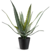 Veštačka biljka CELIUS V39cm zelena