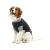 Buster Body Suit Classic Black/Grey 46cm M