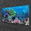 tulup.si Slika na steklu Aquarium fish pod vode 120x60 cm 2 obešalnika