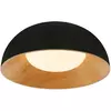 LED plafonjera FK2001-36P BK