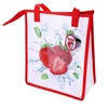 HLADILNA TORBA Z ZADRGO JAGODA 33X28X13CM