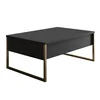 Hanah Home Luxe Sto za dnevnu sobu, Crno-Zlatna