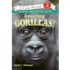 Amazing Gorillas!