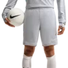 Nike Kratke hlače Dri-FIT Academy 25