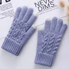 Rukavice za touch screen WINTER, Lavanda