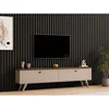 Hanah Home TV komoda Paris 140, 140 cm, orah / kašmir