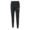 Puma Hlače teamRISE Poly Training Pants