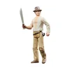 Figura Hasbro Indiana Jones - Tempelj pogube, 15 cm (F6083)