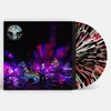 The Black Angels - Levitation Sessions (Limited Edition) (Splatter Coloured) (2 LP + DVD)