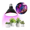 LED sijalica za rast biljaka VITABLOOM E27/9W/230V 1200K crna - Brilagi