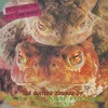 Peter & The test Tube Babies - The Mating Sounds Of South American Frogs (LP)