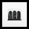 These New Puritans - Crooked Wing (Black Coloured) (LP)