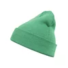 Basic Flap Kelly Beanie