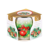 eoshop Sveča v kozarcu BOŽIČ DEKGOVOR dišeče 100g