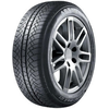 Aptany RW611 ( 195/60 R15 88T )