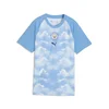 PUMA Manchester City Warm-Up Jersey Women, Sport, Icy Blue/Regal Blue, S