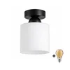 BRILAGI - LED stropna svetiljka RETRO GLASS 1xE27/60W/230V prečnik 10 cm crna/bela