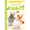 Looking after Rabbits