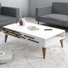 Hanah Home Klub sto Valensiya 105x60??x34,6cm Beli