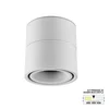 LED nadgradna lampa LN-07-9 CCT WH