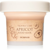 Skinfood Maska za lice Food Mask, Apricot, 120g