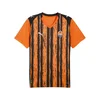 Mens Puma FC Shakhtar Donetsk 25/26 Home Jersey, Orange, Size S, Sport